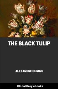 cover page for the Global Grey edition of The Black Tulip by Alexandre Dumas