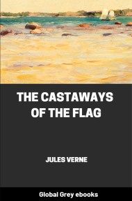 cover page for the Global Grey edition of The Castaways of the Flag by Jules Verne