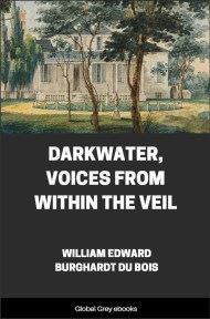 cover page for the Global Grey edition of Darkwater, Voices from Within the Veil by W. E. B. Du Bois