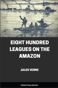 cover page for the Global Grey edition of Eight Hundred Leagues on the Amazon by Jules Verne