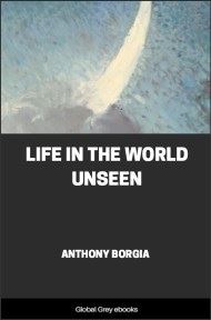 cover page for the Global Grey edition of Life in the World Unseen by Anthony Borgia