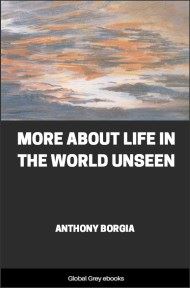 cover page for the Global Grey edition of More About Life in the World Unseen by Anthony Borgia