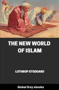 The New World of Islam, by Lothrop Stoddard - click to see full size image