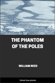 The Phantom of the Poles, by William Reed - click to see full size image