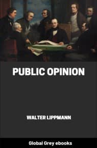 cover page for the Global Grey edition of Public Opinion by Walter Lippmann