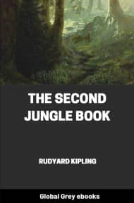 The Second Jungle Book, by Rudyard Kipling - click to see full size image