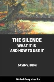 cover page for the Global Grey edition of The Silence: What It Is and How To Use It by David V. Bush