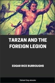 Tarzan and the Foreign Legion, by Edgar Rice Burroughs - click to see full size image