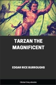 Tarzan the Magnificent, by Edgar Rice Burroughs - click to see full size image