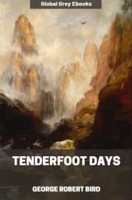 cover page for the Global Grey edition of Tenderfoot Days by George Robert Bird