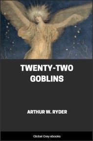 cover page for the Global Grey edition of Twenty-Two Goblins by Arthur W. Ryder