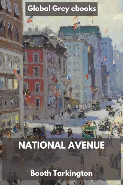 cover page for the Global Grey edition of National Avenue by Booth Tarkington