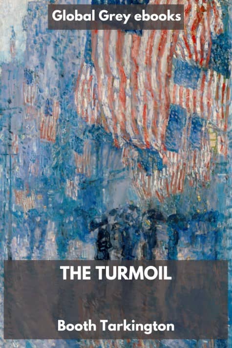 cover page for the Global Grey edition of The Turmoil by Booth Tarkington
