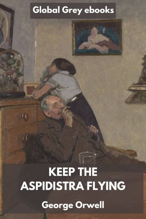 cover page for the Global Grey edition of Keep the Aspidistra Flying by George Orwell