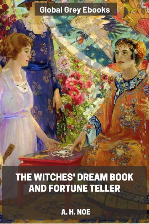 cover page for the Global Grey edition of The Witches' Dream Book and Fortune Teller by A. H. Noe