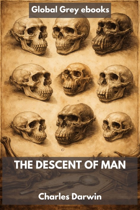cover page for the Global Grey edition of The Descent of Man by Charles Darwin