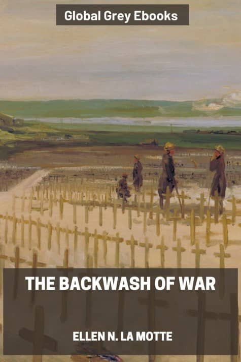 cover page for the Global Grey edition of The Backwash of War by Ellen N. La Motte