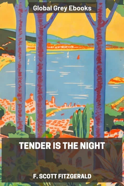Tender is the Night, by F. Scott Fitzgerald - click to see full size image