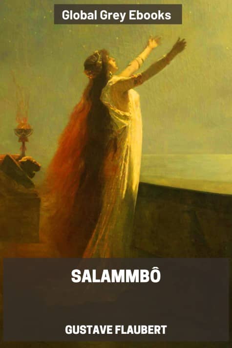 Salammbô, by Gustave Flaubert - click to see full size image