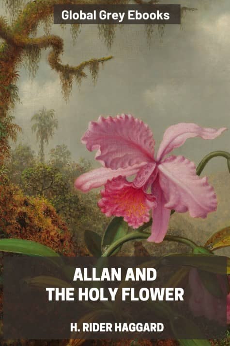 Allan and the Holy Flower, by H. Rider Haggard - click to see full size image