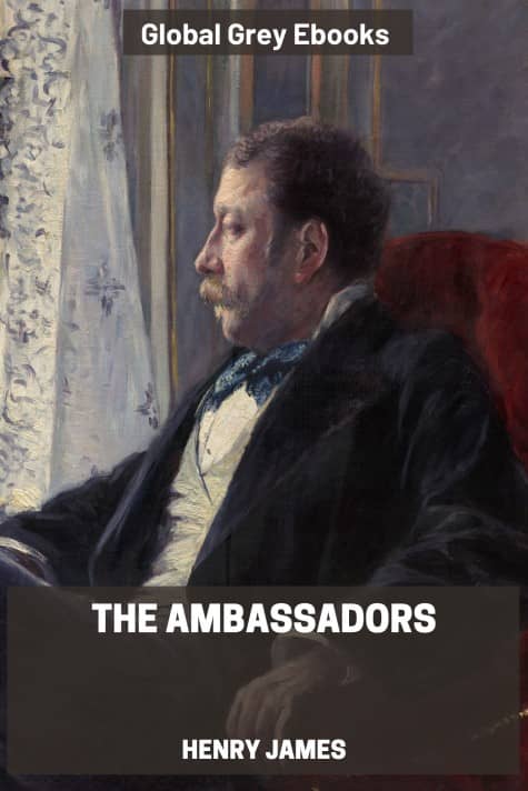 cover page for the Global Grey edition of The Ambassadors by Henry James