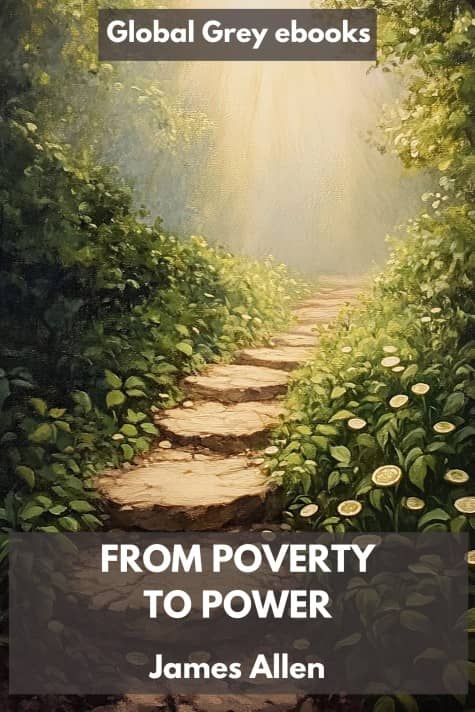 cover page for the Global Grey edition of From Poverty to Power by James Allen