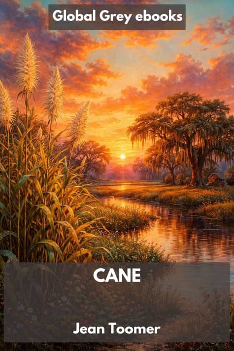 Cane, by Jean Toomer - click to see full size image