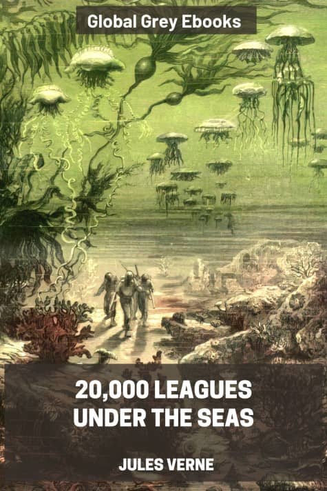 20,000 Leagues Under The Sea, by Jules Verne - click to see full size image