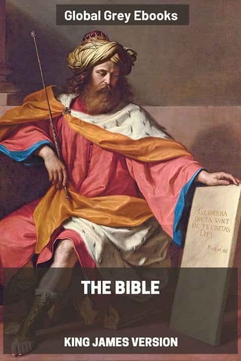 cover page for the Global Grey edition of The Bible: The King James Version