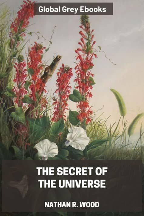 cover page for the Global Grey edition of The Secret of the Universe by Nathan R. Wood