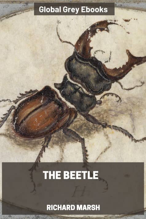 The Beetle, by Richard Marsh - click to see full size image
