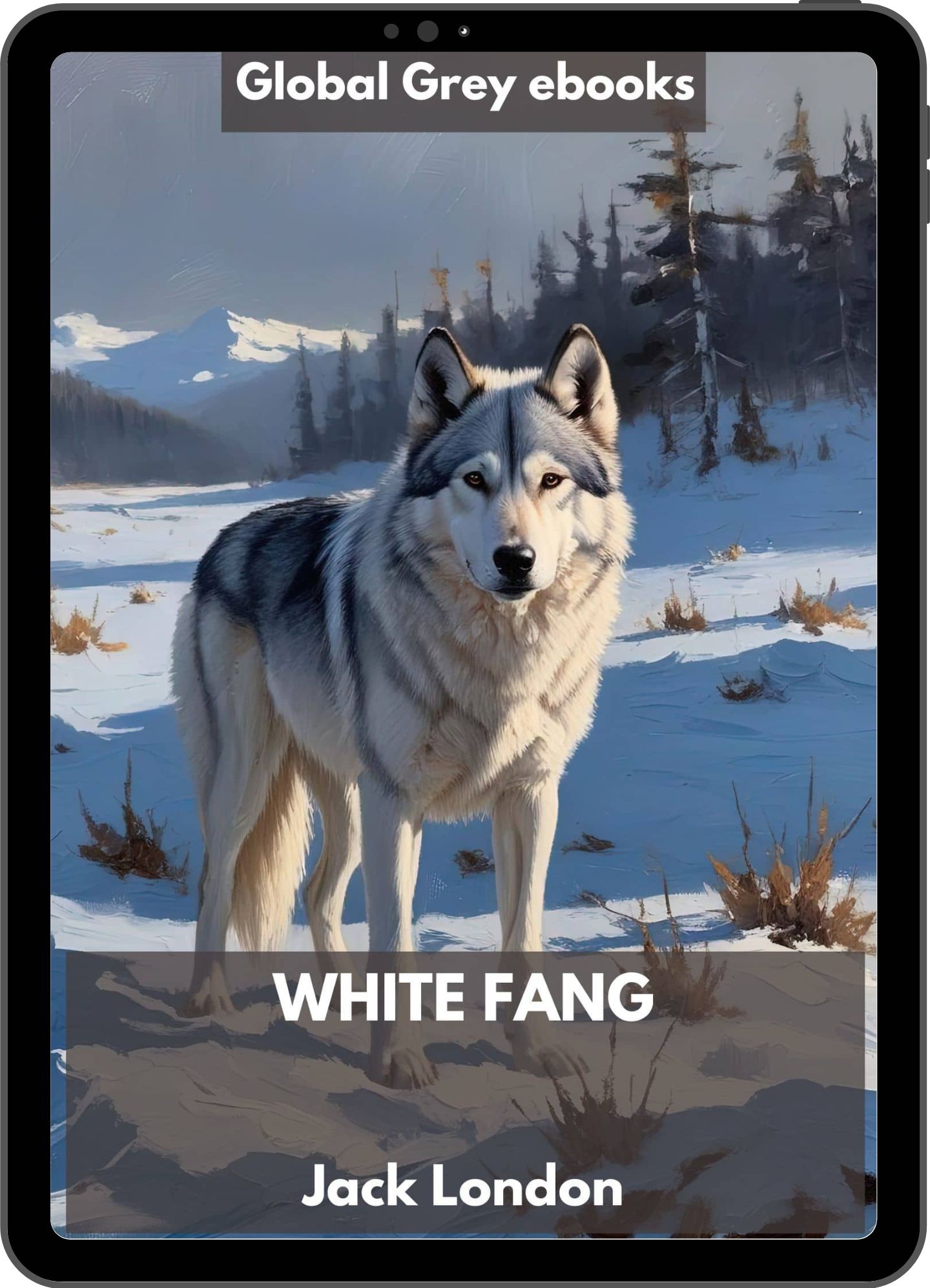 Book cover mock-up