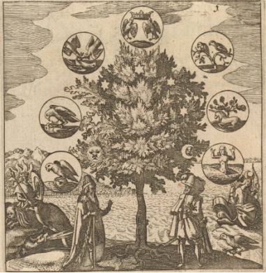 A drawing of a tree with circles around it, and symbols within them