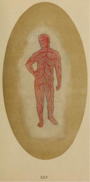pl25.jpg