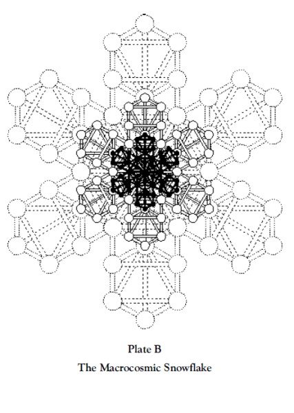 Plate B