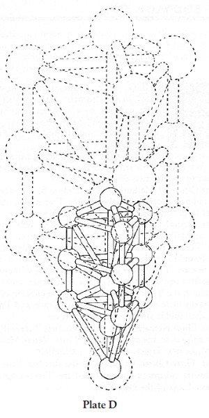 Plate D