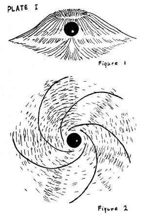 Plate I shows two views of the RMF of a nuclear particle