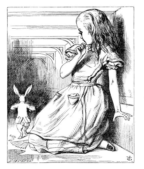 Alice meets the White Rabbit again