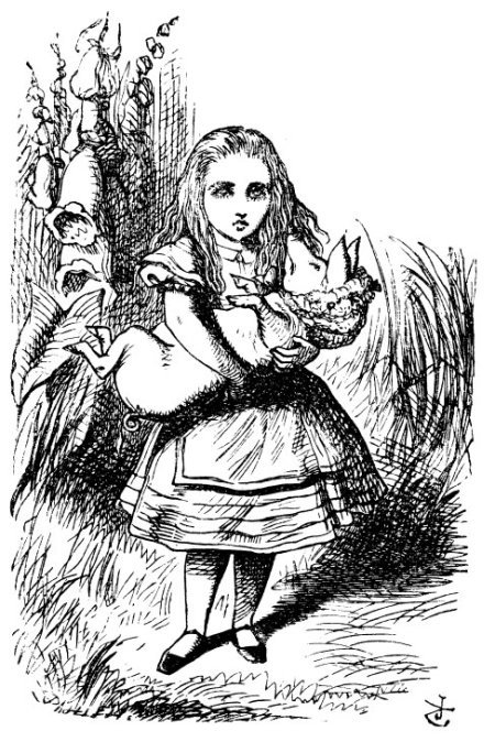 Alice and the pig