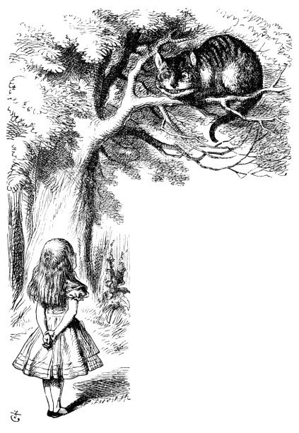 Alice meets the Cheshire Cat