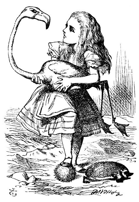 Alice with the flamingo