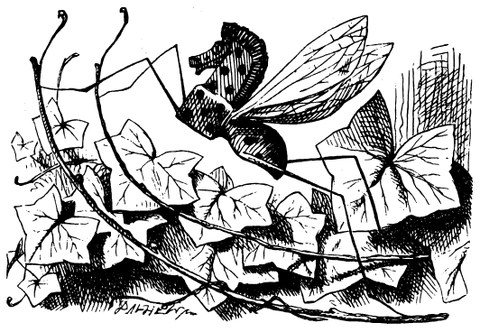 A winged insect which appears to be in the shape of a rocking horse.