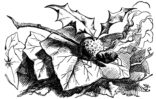 A winged insect which appears to be in the shape of a small Christmas pudding. Its wings are holly leaves and its head is a burning raisin.