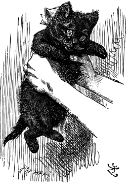 A black kitten is being shaken in Alice’s hands.