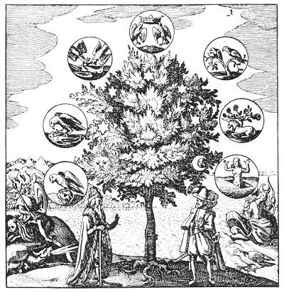 THE TREE OF ALCHEMY