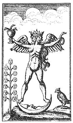 THE ALCHEMICAL ANDROGYNE