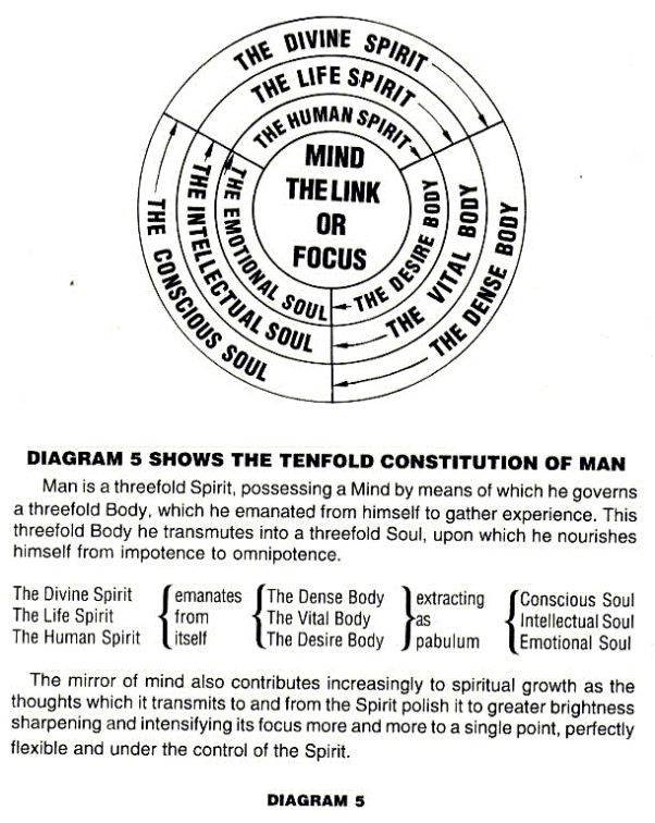 Diagram 5