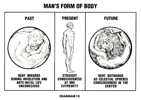 Diagram 12