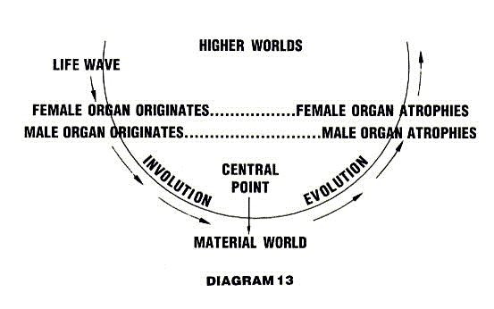 Diagram 13