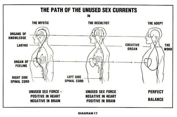 Diagram 17